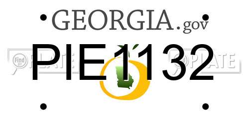 PIE1132 Georgia License Plate