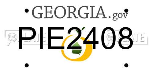 PIE2408 Georgia License Plate