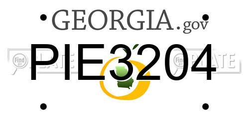 PIE3204 Georgia License Plate