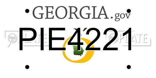 PIE4221 Georgia License Plate