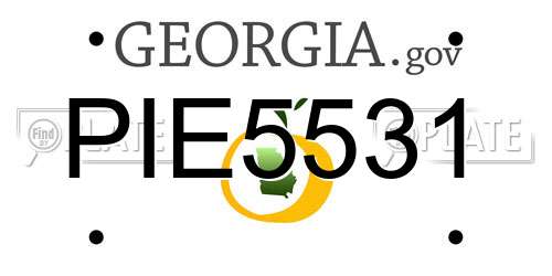 PIE5531 Georgia License Plate