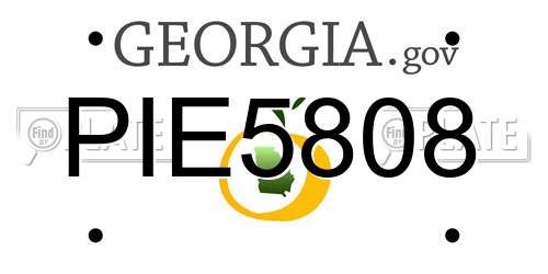 PIE5808 Georgia License Plate