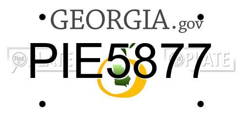 PIE5877 Georgia License Plate