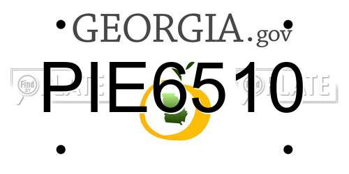 PIE6510 Georgia License Plate
