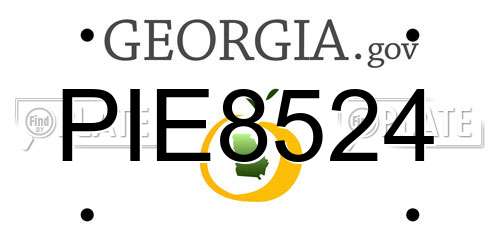 PIE8524 Georgia License Plate