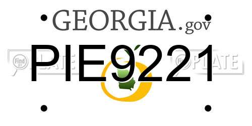 PIE9221 Georgia License Plate