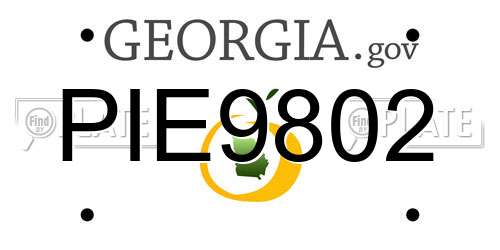 PIE9802 Georgia License Plate