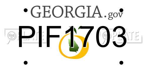 PIF1703 Georgia License Plate