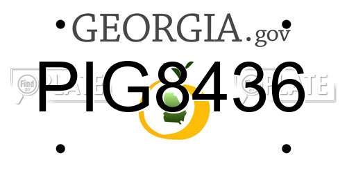 PIG8436 Georgia License Plate