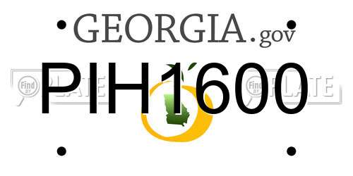PIH1600 Georgia License Plate