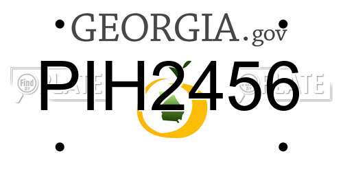 PIH2456 Georgia License Plate