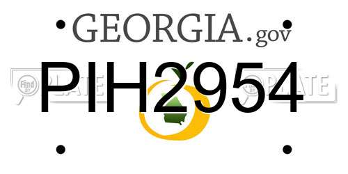PIH2954 Georgia License Plate