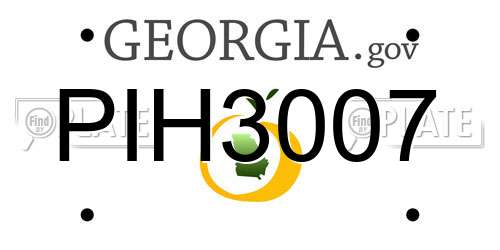 PIH3007 Georgia License Plate