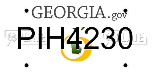 PIH4230 Georgia License Plate