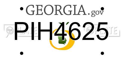 PIH4625 Georgia License Plate