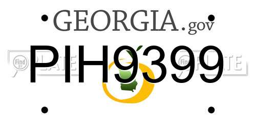 PIH9399 Georgia License Plate