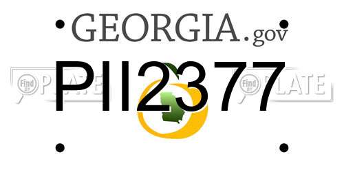 PII2377 Georgia License Plate
