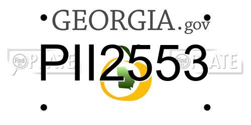 PII2553 Georgia License Plate