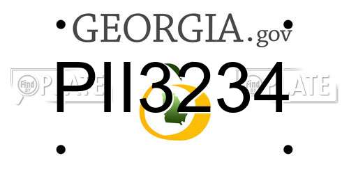 PII3234 Georgia License Plate