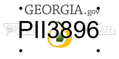 PII3896 Georgia License Plate