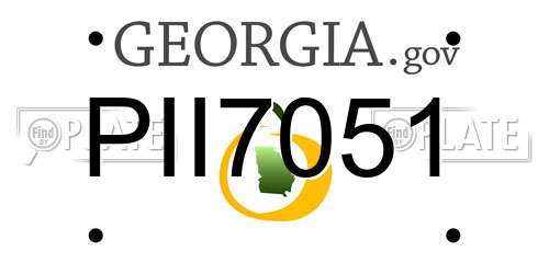 PII7051 Georgia License Plate