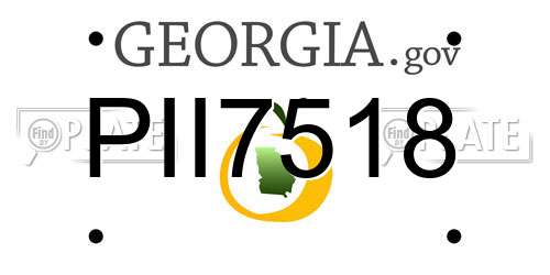 PII7518 Georgia License Plate