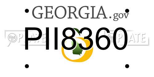PII8360 Georgia License Plate