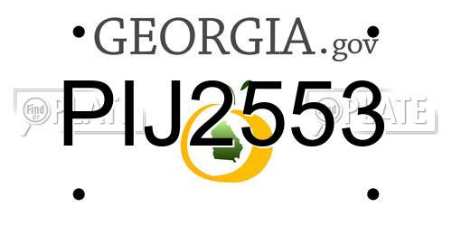 PIJ2553 Georgia License Plate