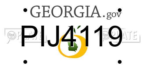 PIJ4119 Georgia License Plate