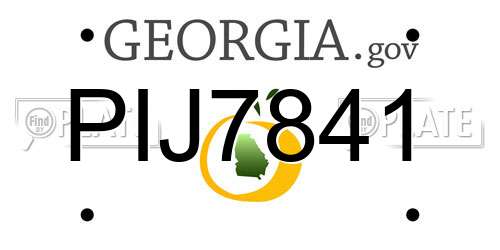PIJ7841 Georgia License Plate