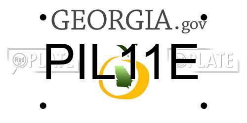 PIL11E Georgia License Plate