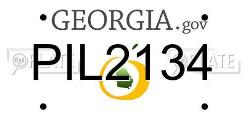 PIL2134 Georgia License Plate