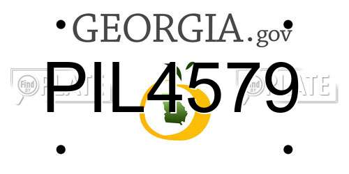 PIL4579 Georgia License Plate
