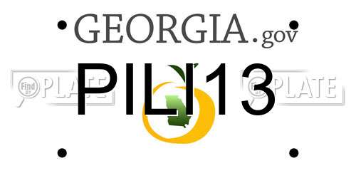PILI13 Georgia License Plate