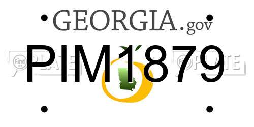 PIM1879 Georgia License Plate