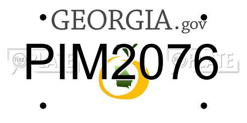 PIM2076 Georgia License Plate