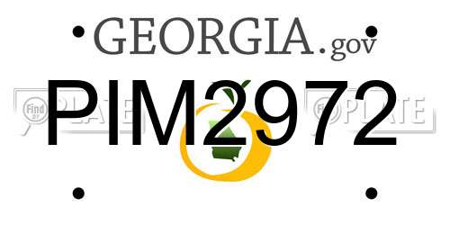 PIM2972 Georgia License Plate