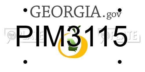 PIM3115 Georgia License Plate