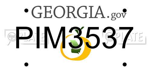 PIM3537 Georgia License Plate