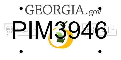 PIM3946 Georgia License Plate