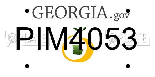 PIM4053 Georgia License Plate