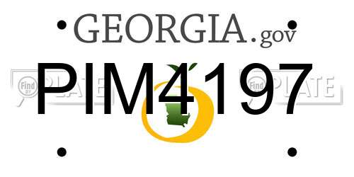 PIM4197 Georgia License Plate