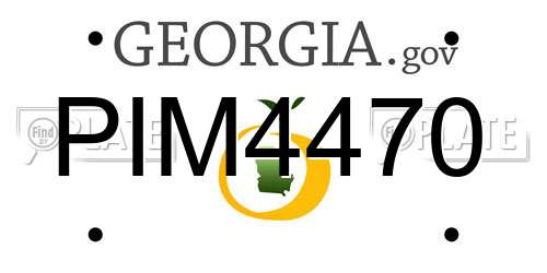PIM4470 Georgia License Plate