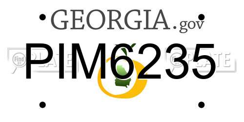 PIM6235 Georgia License Plate