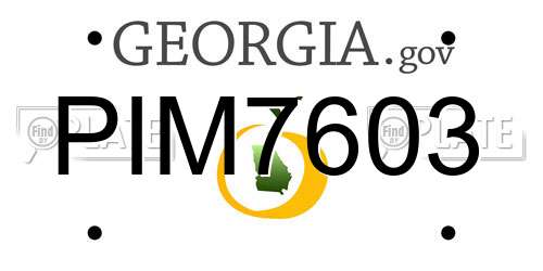 PIM7603 Georgia License Plate