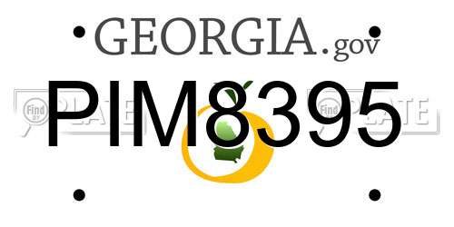 PIM8395 Georgia License Plate