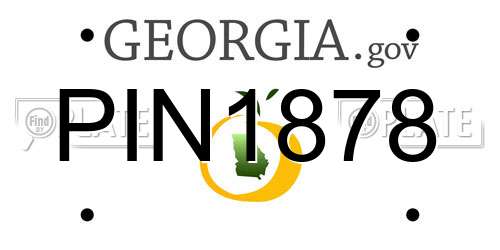 PIN1878 Georgia License Plate