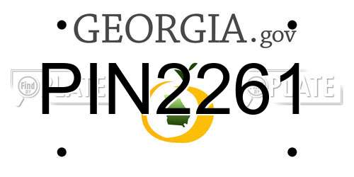 PIN2261 Georgia License Plate