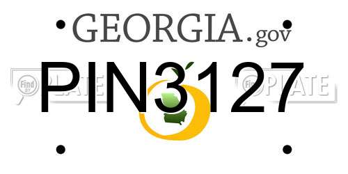 PIN3127 Georgia License Plate