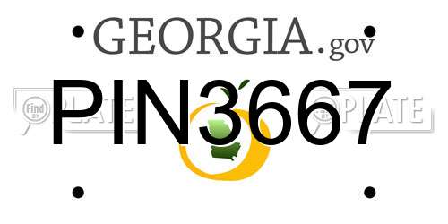 PIN3667 Georgia License Plate